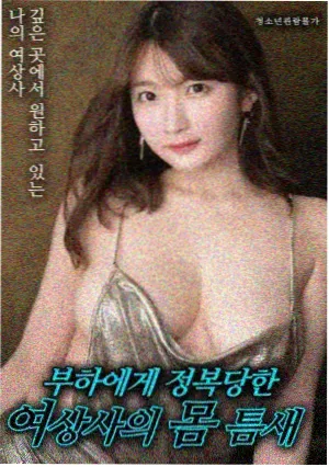 茄子视频app 海边的房间 电影海报